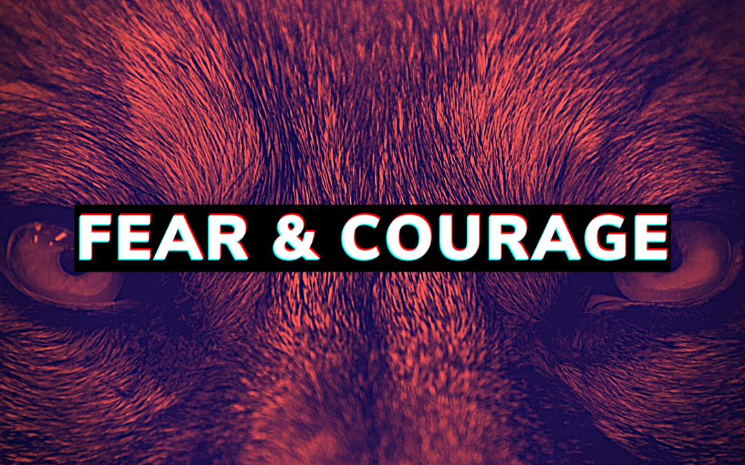 Fear & Being Courageous